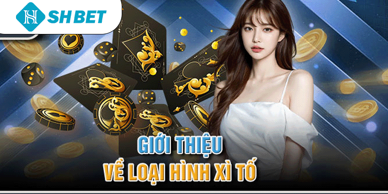 Giới thiệu về loại hình xì tố